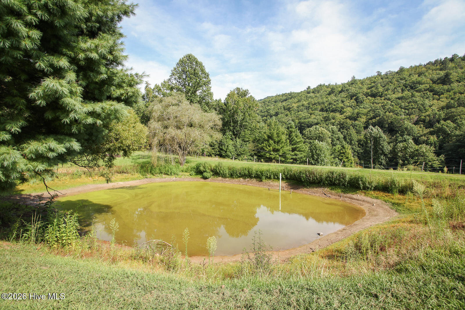 1056 Franks Creek Road Property Photo 101