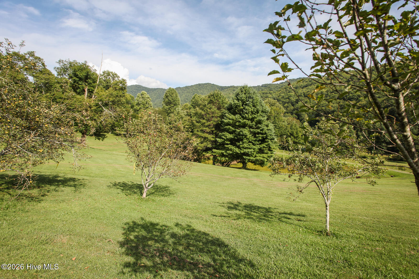 1056 Franks Creek Road Property Photo 103
