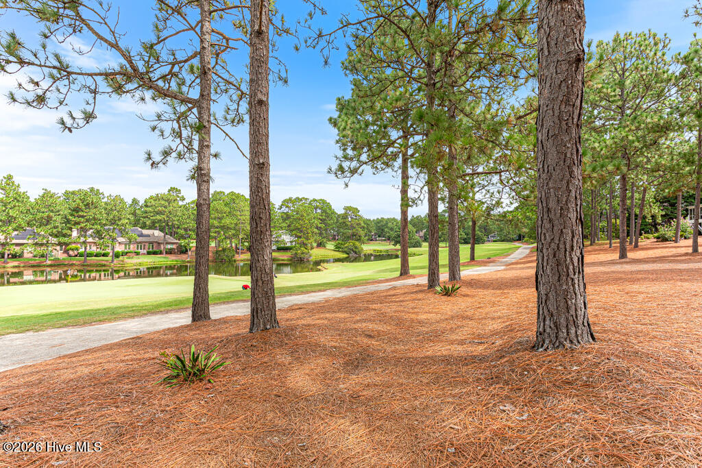 71 Deerwood Lane Property Photo 38
