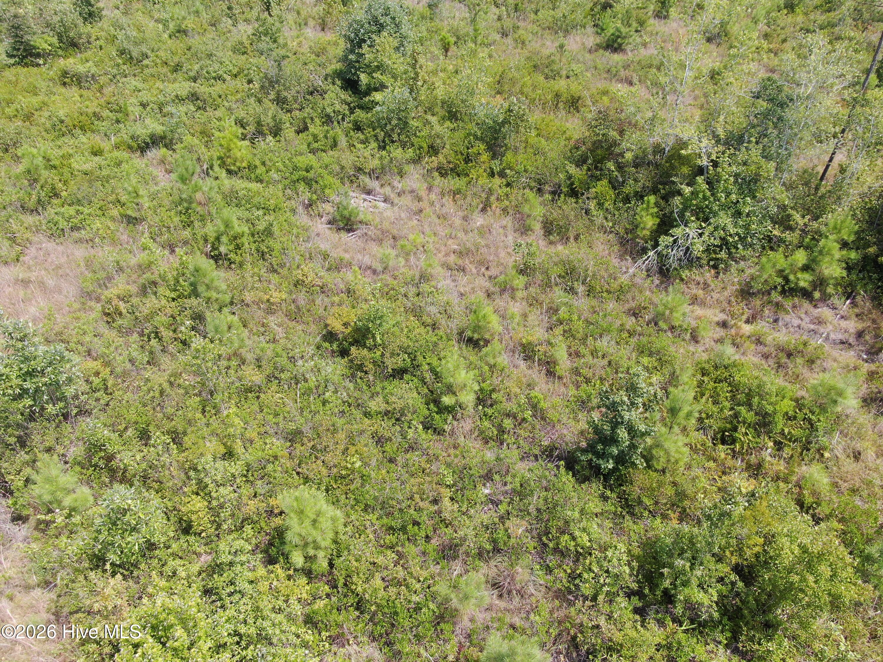 Tbd Sarah Peterson Road Property Photo 8