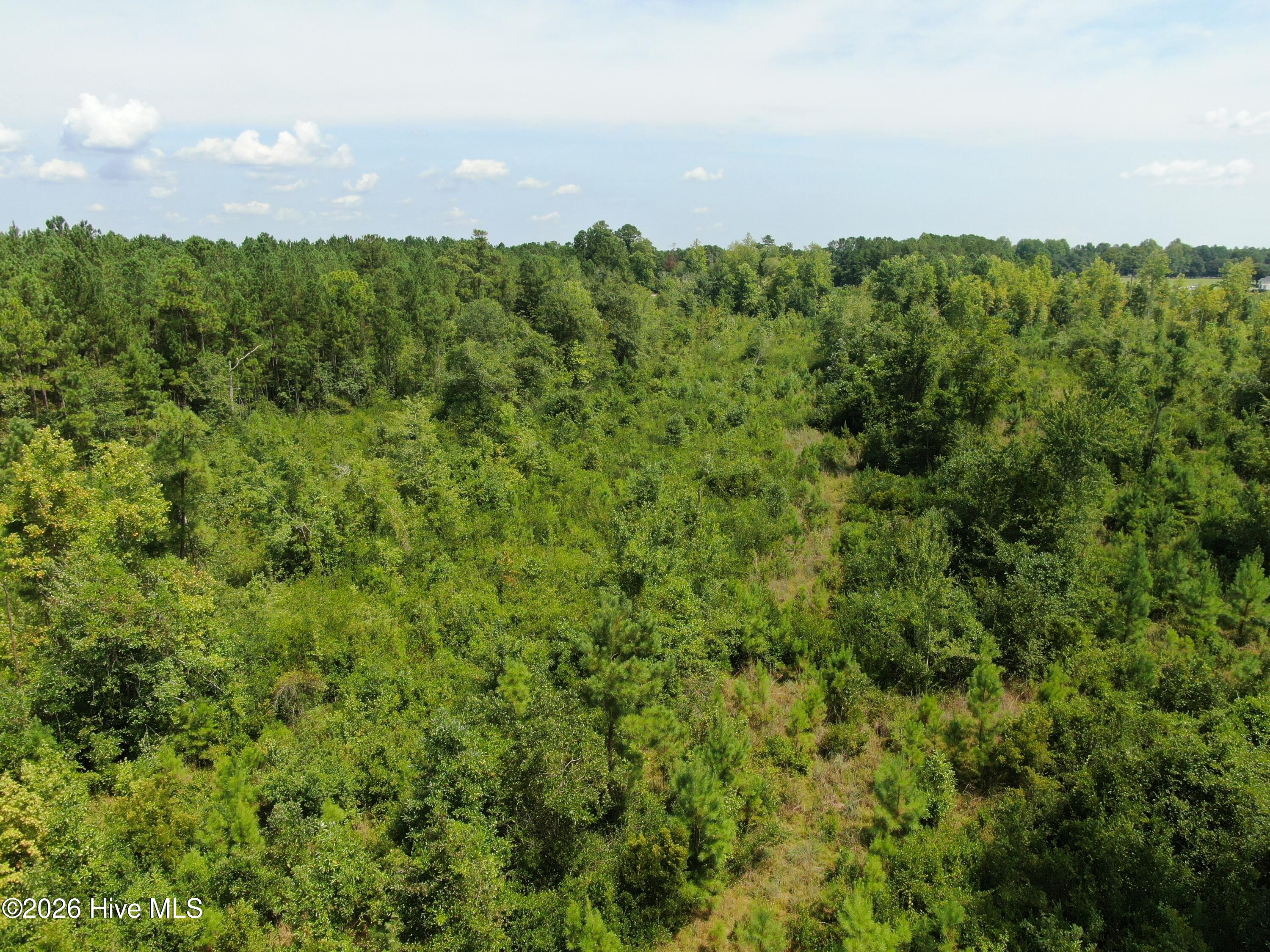 Tbd Sarah Peterson Road Property Photo 9