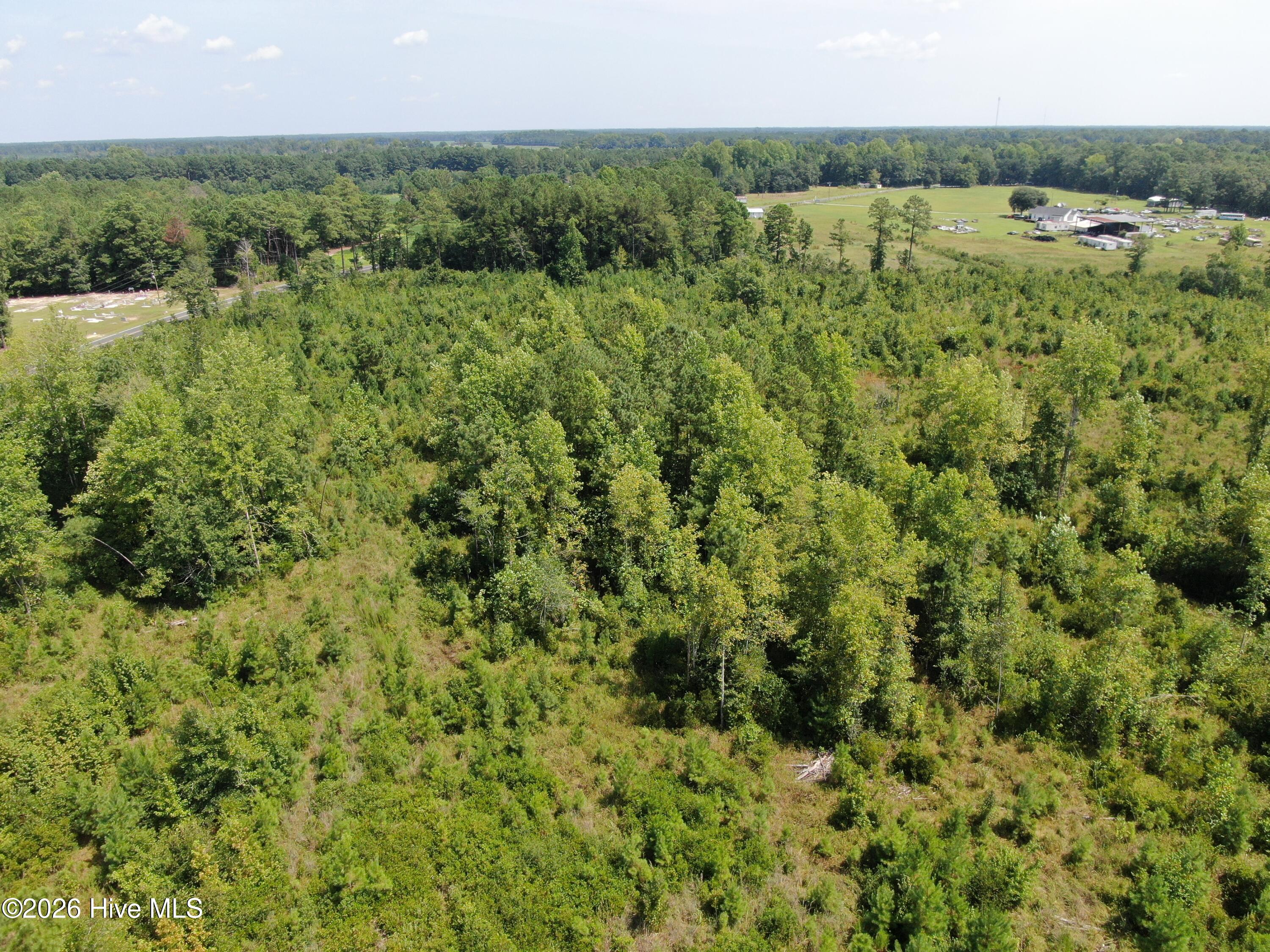 Tbd Sarah Peterson Road Property Photo 10