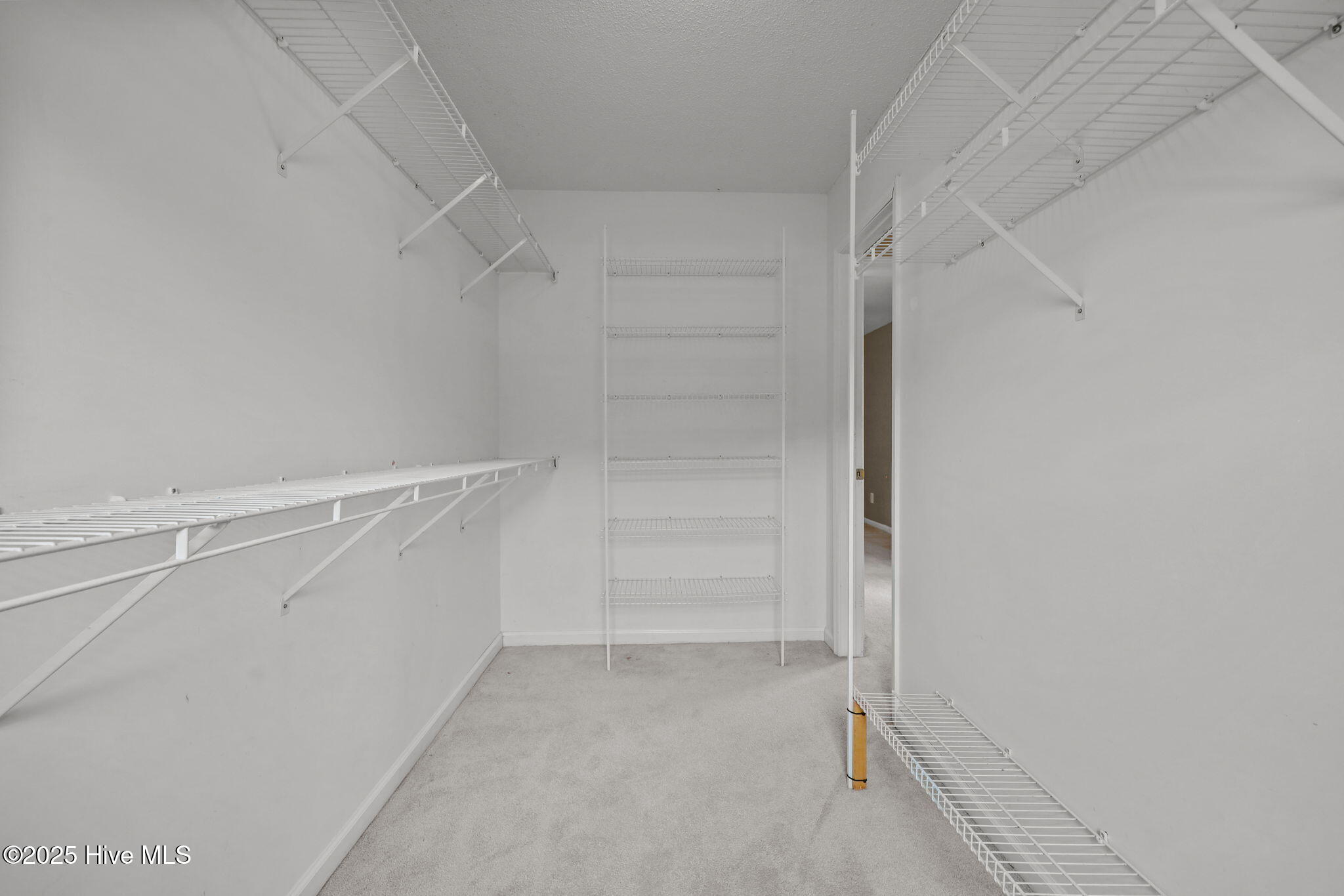 529 Blackberry Court Property Photo 10