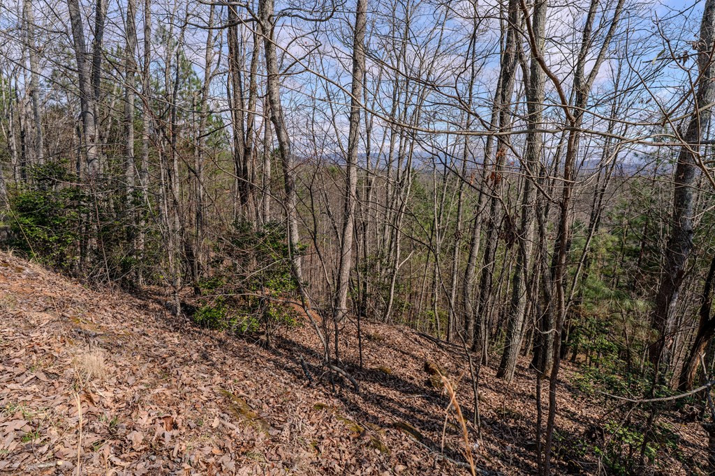 19/20 19 Property Photo 3