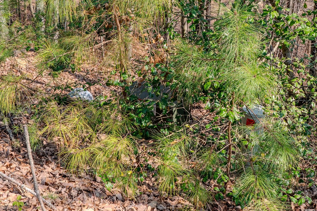 19/20 19 Property Photo 7