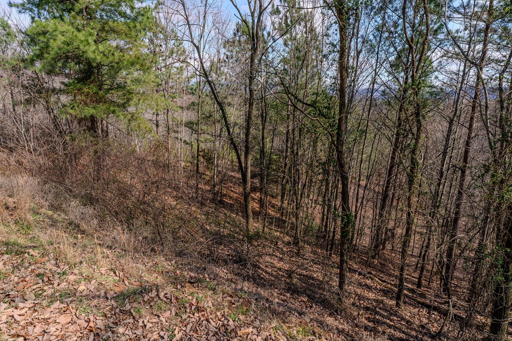 19/20 19 Property Photo 8
