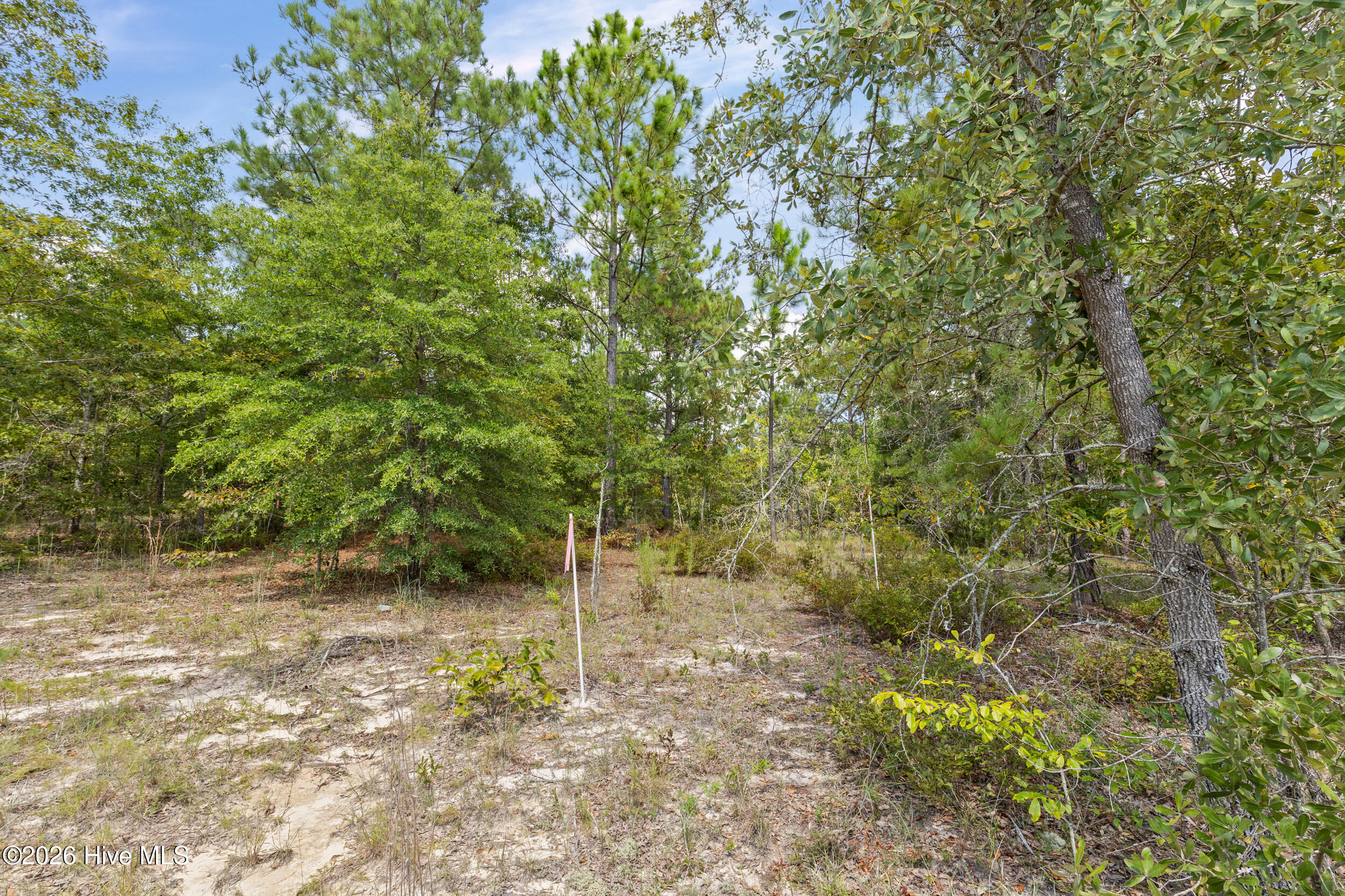 Lot 16 Farmers Bridge Road Property Photo 2