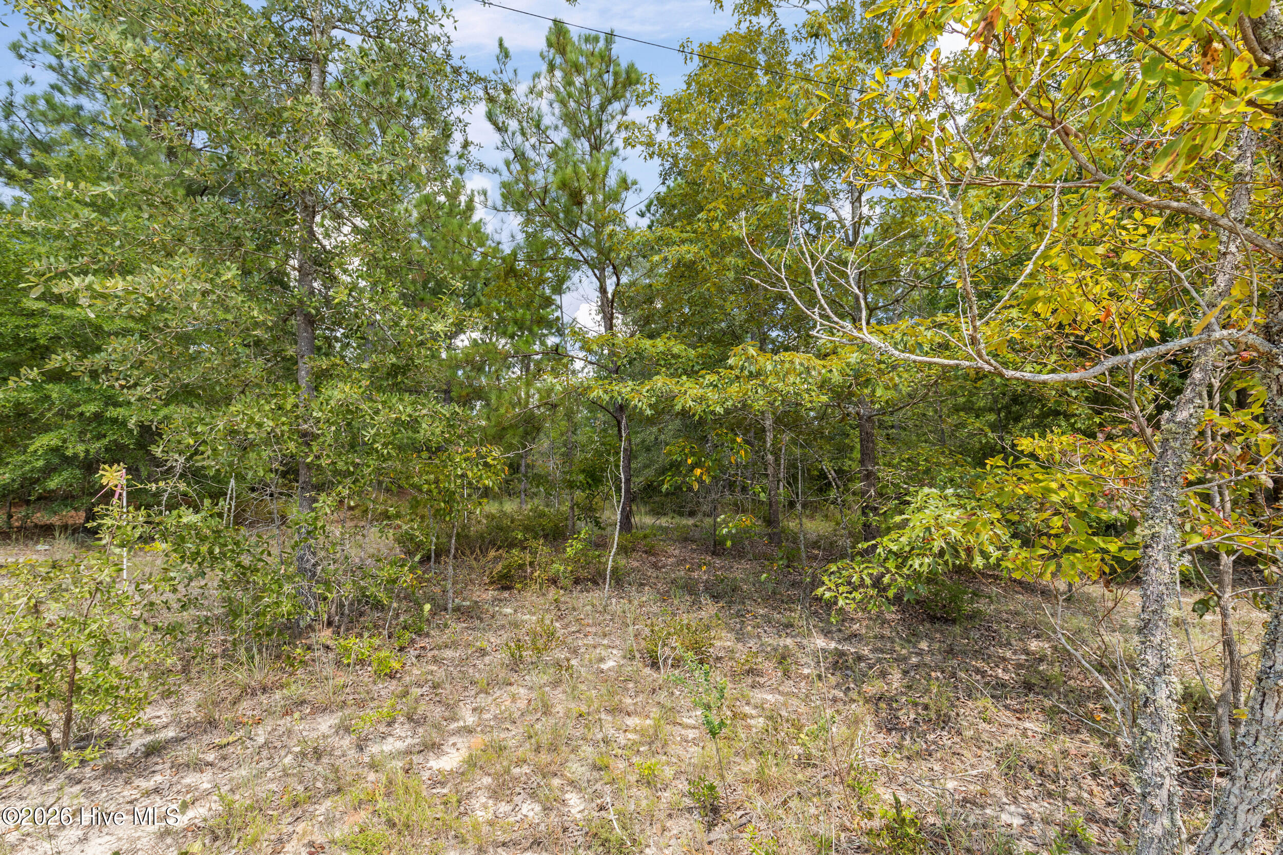 Lot 16 Farmers Bridge Road Property Photo 3