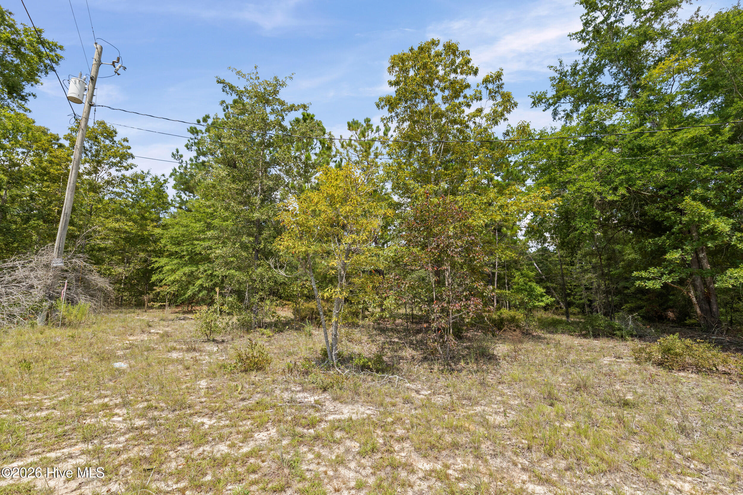 Lot 16 Farmers Bridge Road Property Photo 4