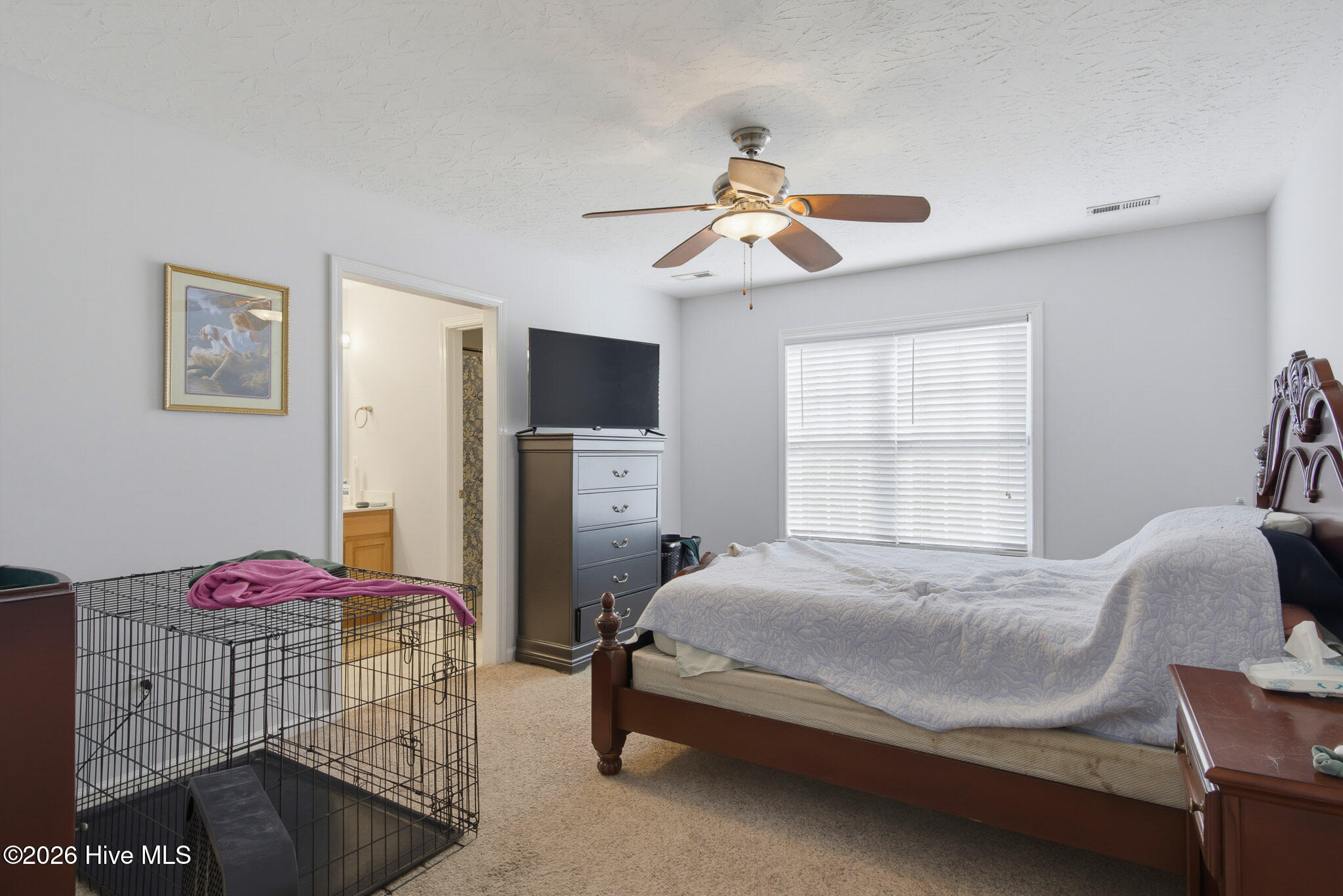110 Belvedere Drive Property Photo 23