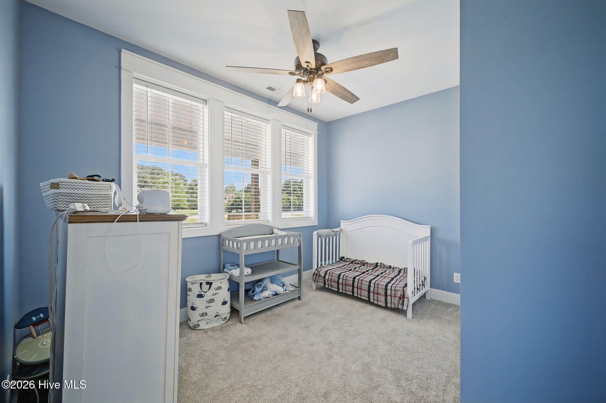 120 Atkins Way Property Photo 19