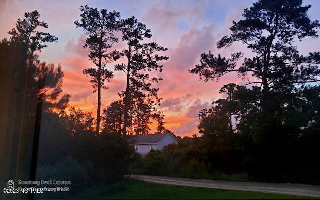 228 Hopkins Seafood Road Property Photo 8