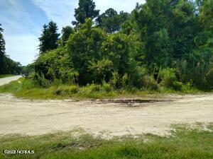 228 Hopkins Seafood Road Property Photo 14