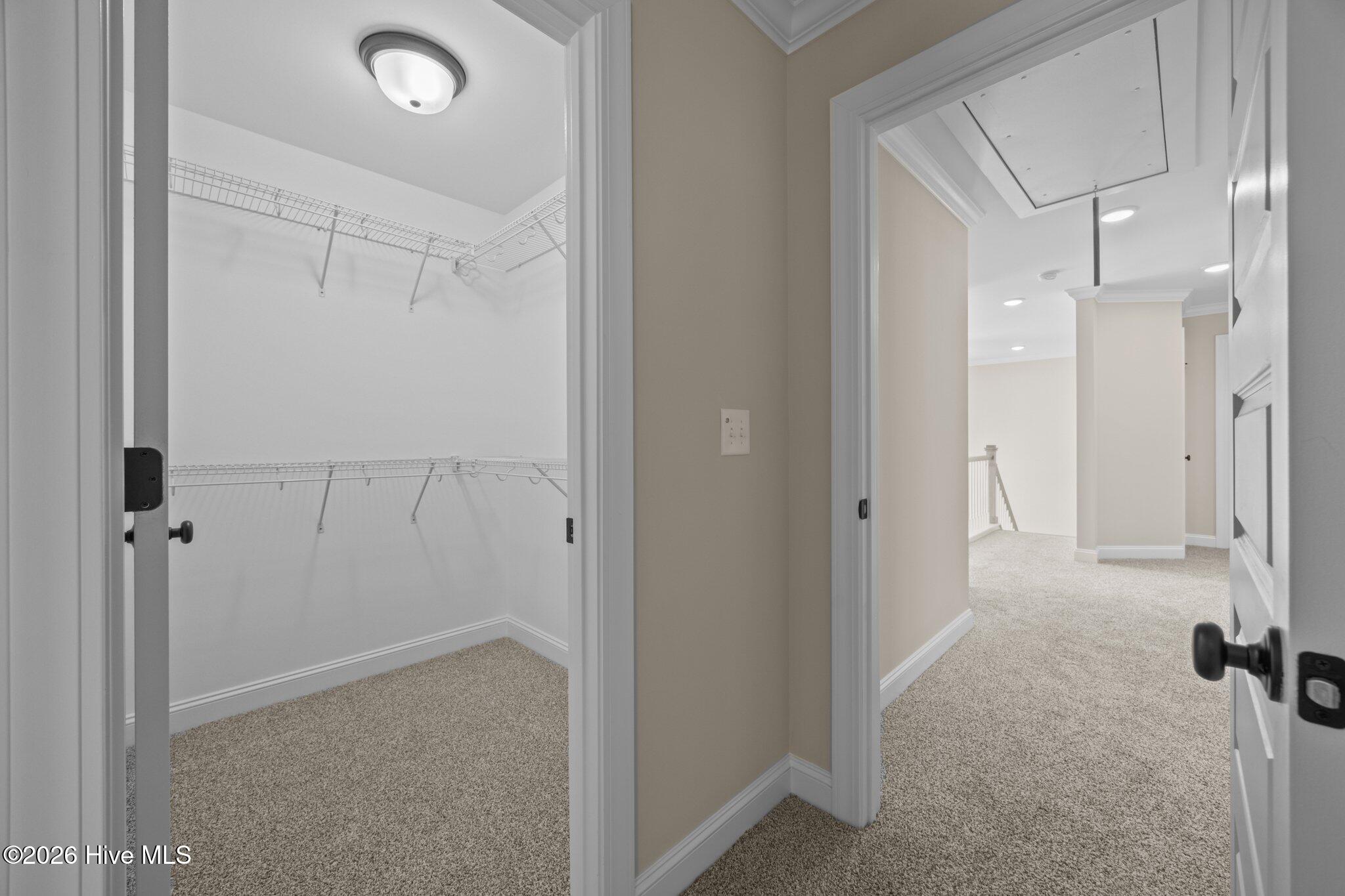 1065 Buckley Drive Property Photo 30