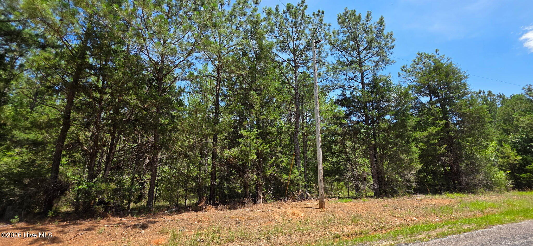 7a Chestnut Ridge Road Property Photo 6