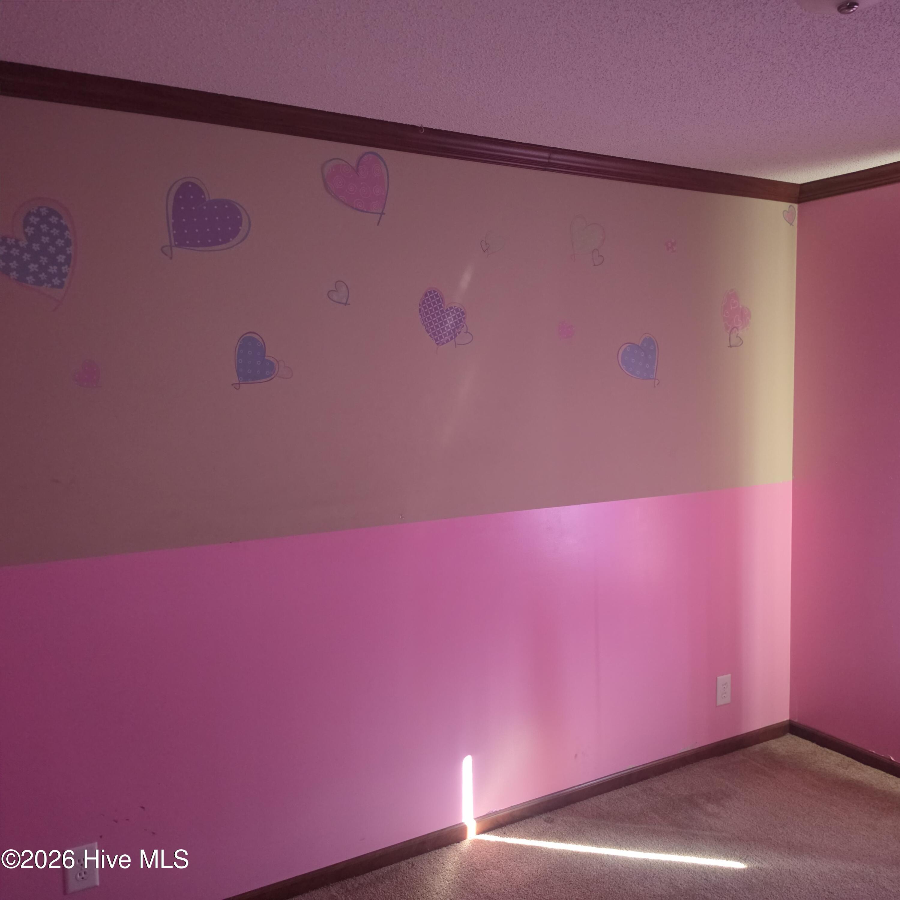 213 Devonshire Drive Property Photo 12