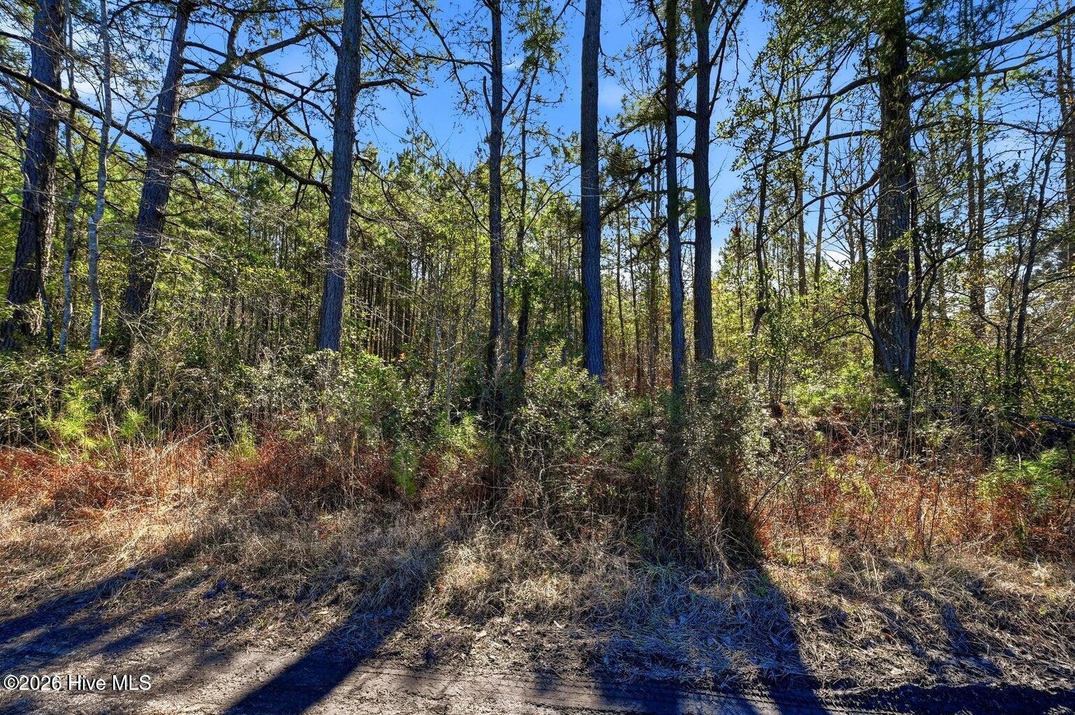 15460 Nc Highway 210 Property Photo 5