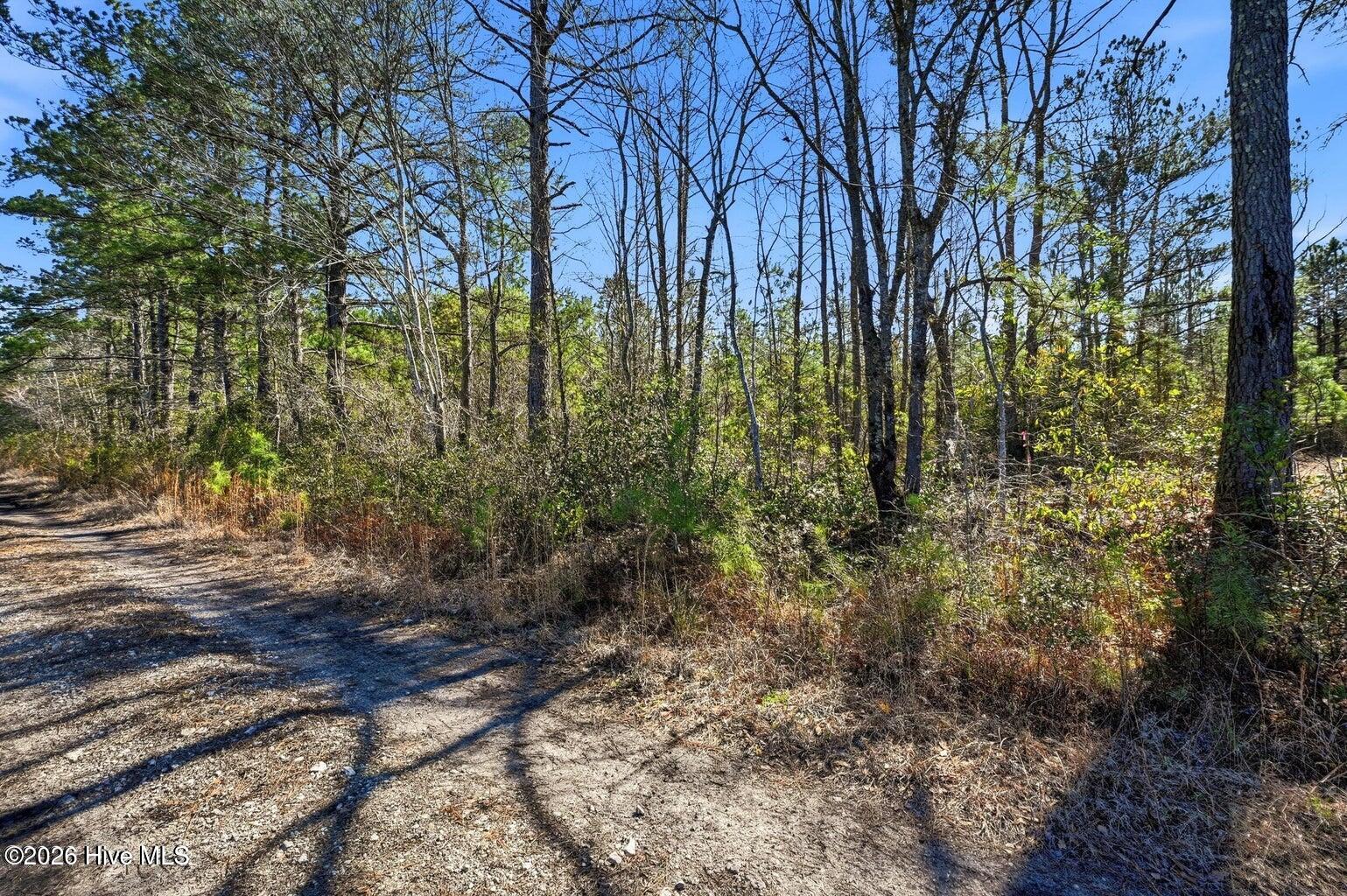 15460 Nc Highway 210 Property Photo 6