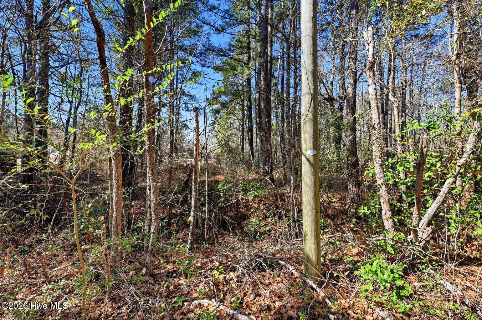 15460 Nc Highway 210 Property Photo 8