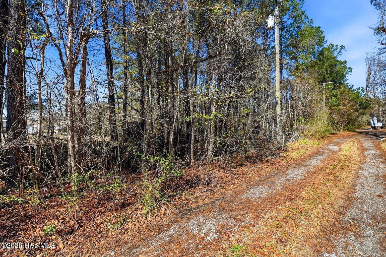 15460 Nc Highway 210 Property Photo 9
