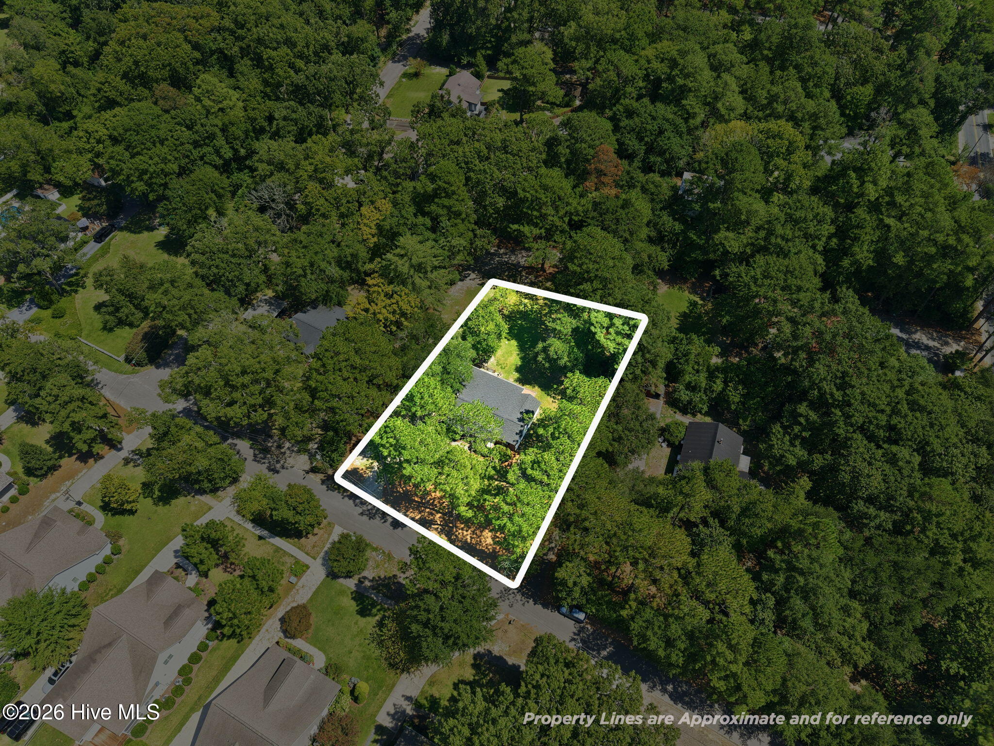 110 Campbell Street Property Photo 54