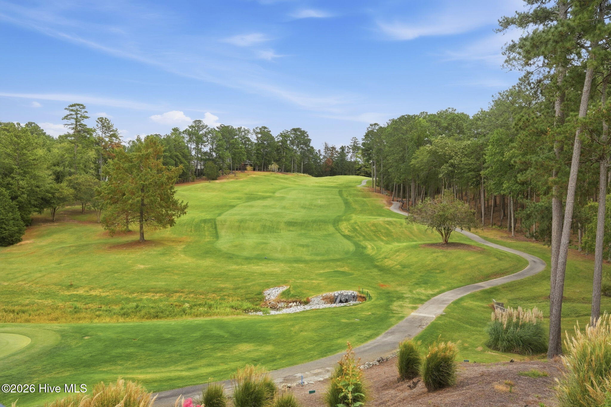 166 Sweetgum Loop Property Photo 80