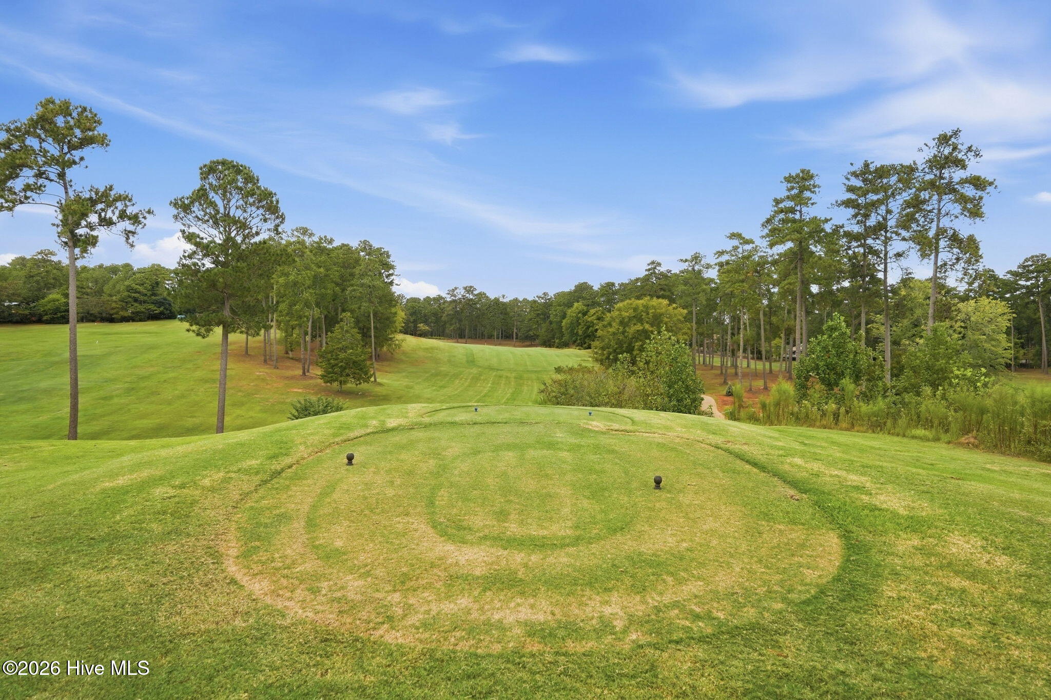 166 Sweetgum Loop Property Photo 83