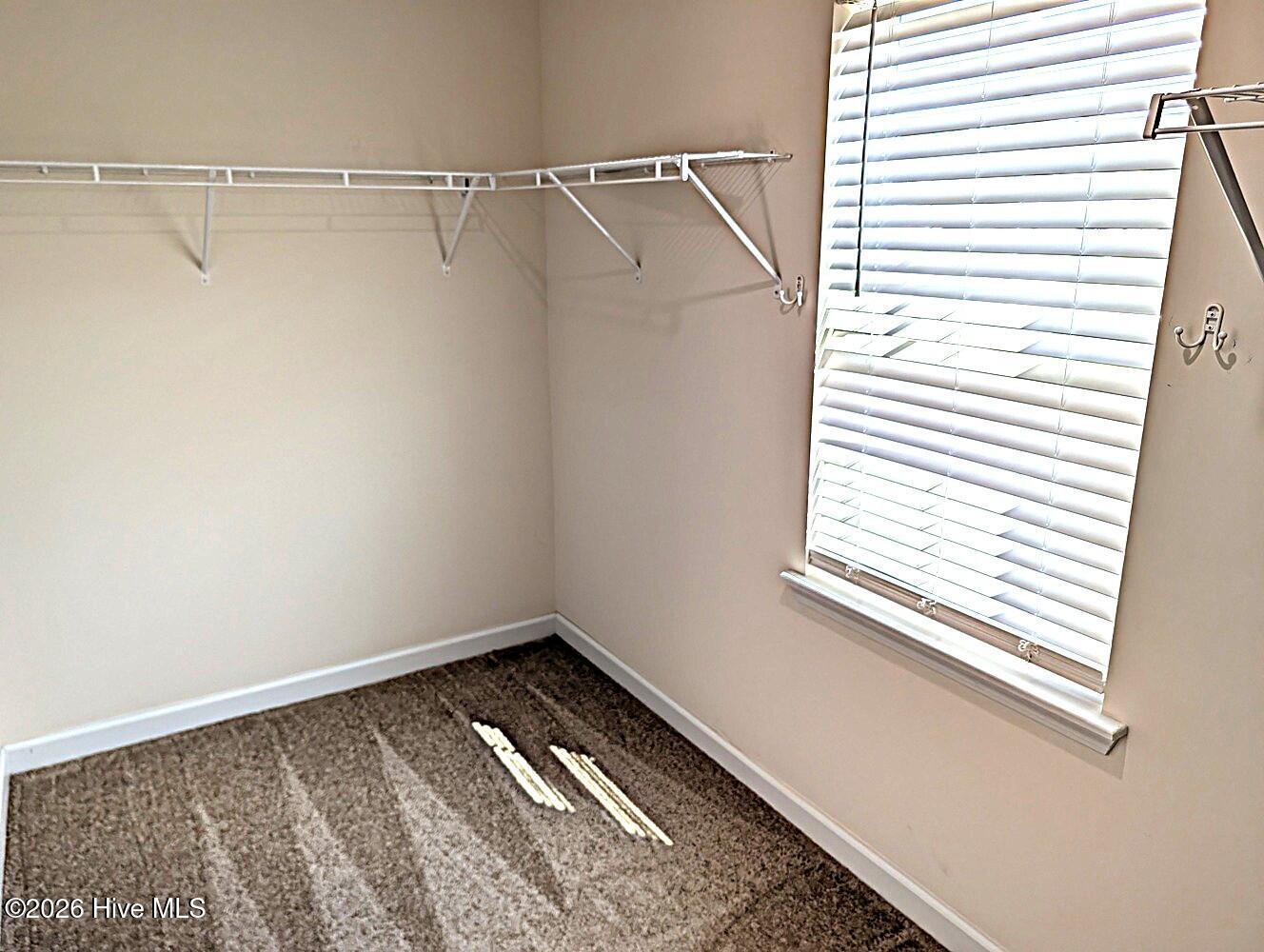 110 Sonia Drive Property Photo 26