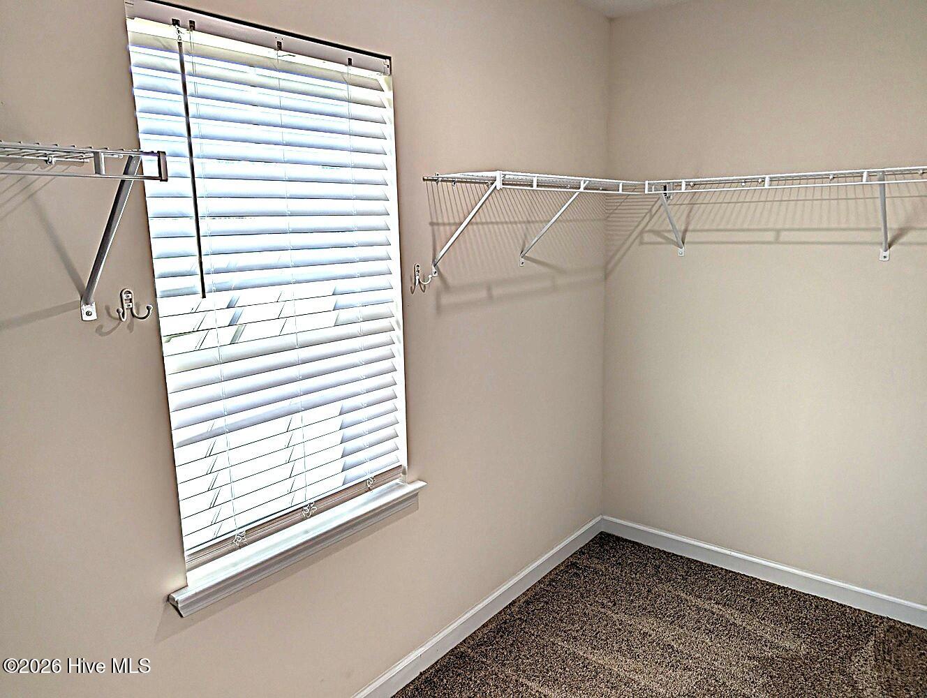 110 Sonia Drive Property Photo 27