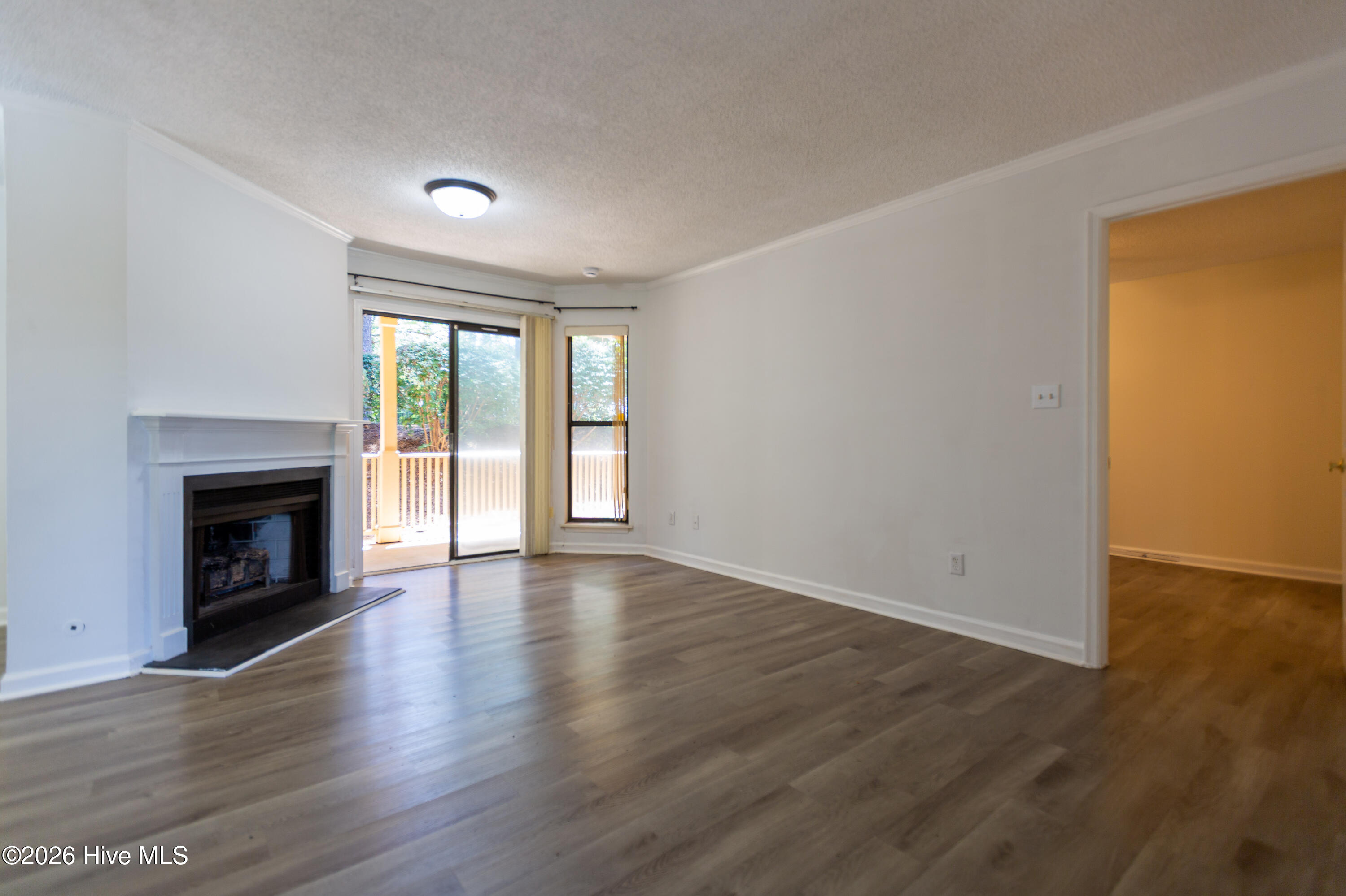 1101 Colony Place Drive Property Photo 3