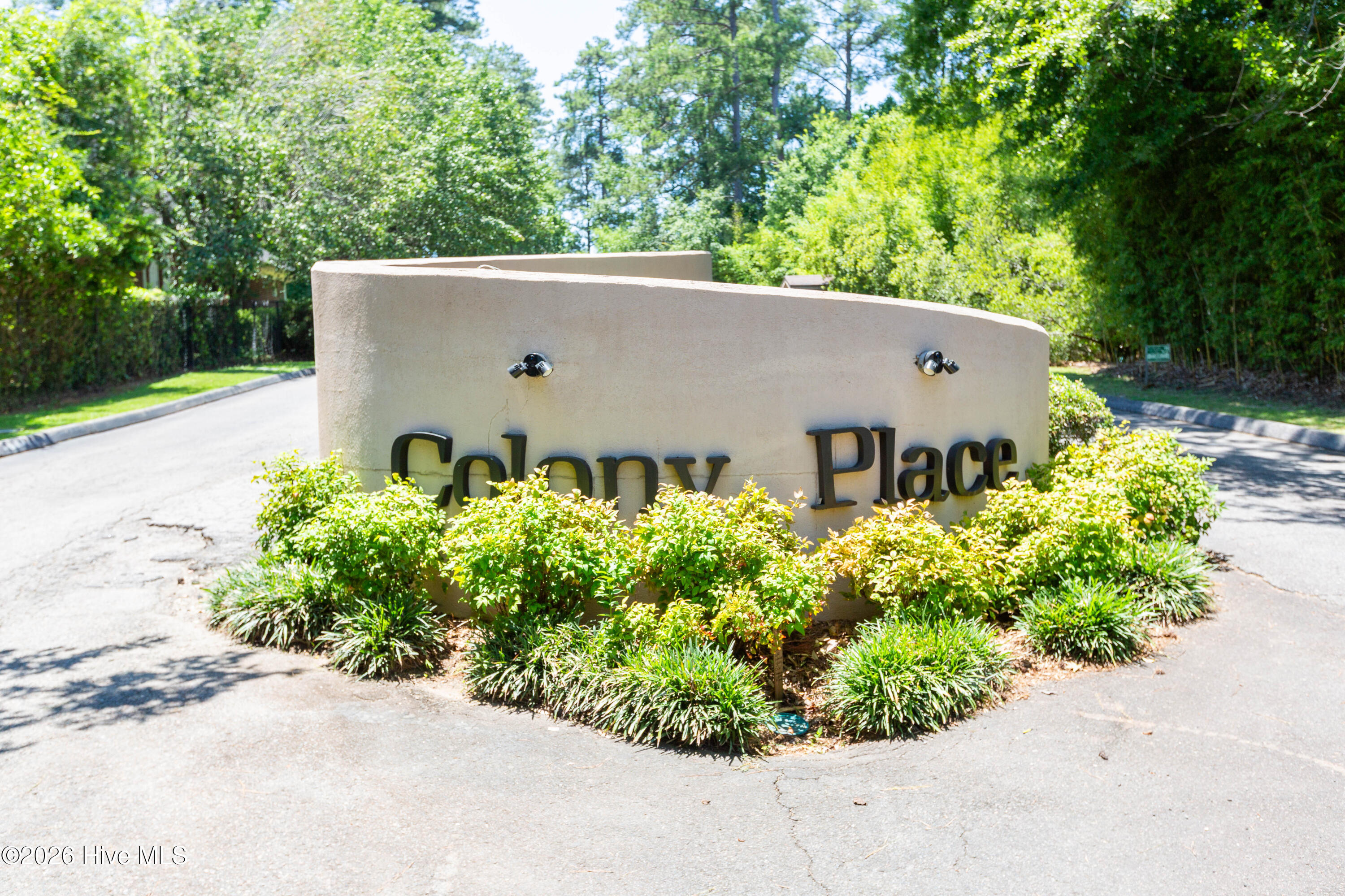 1101 Colony Place Drive Property Photo 21