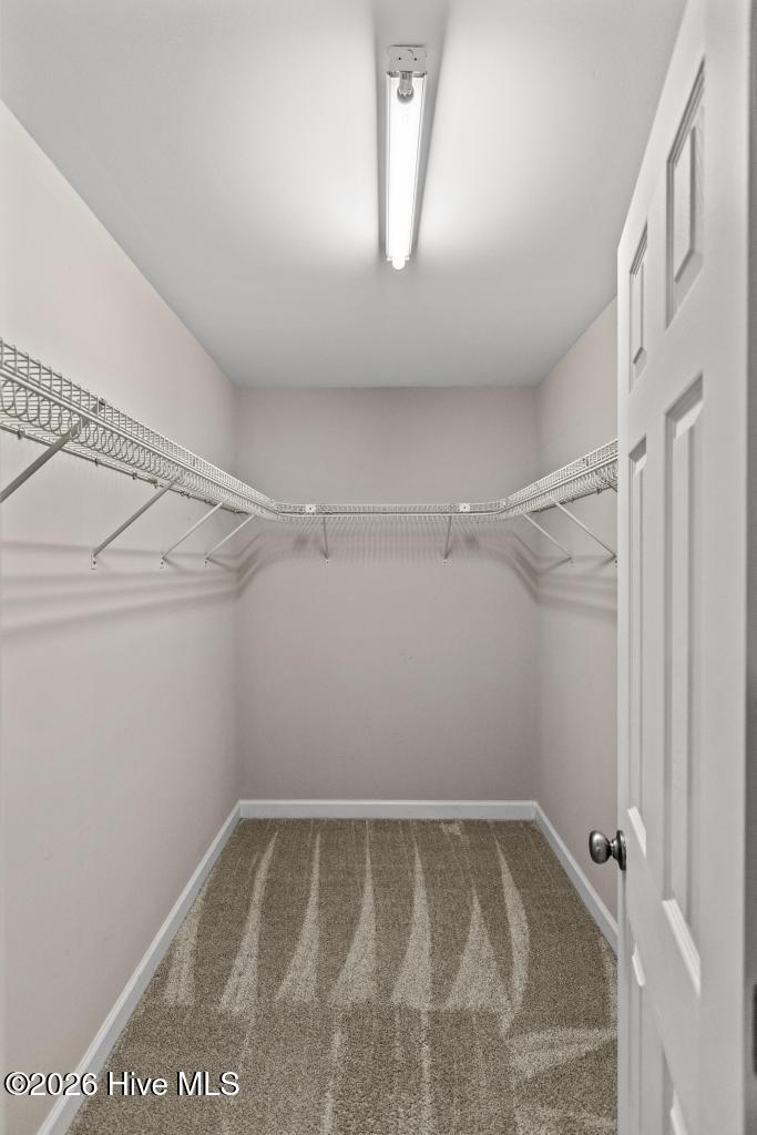 1731 Chadwick Shores Drive Property Photo 16