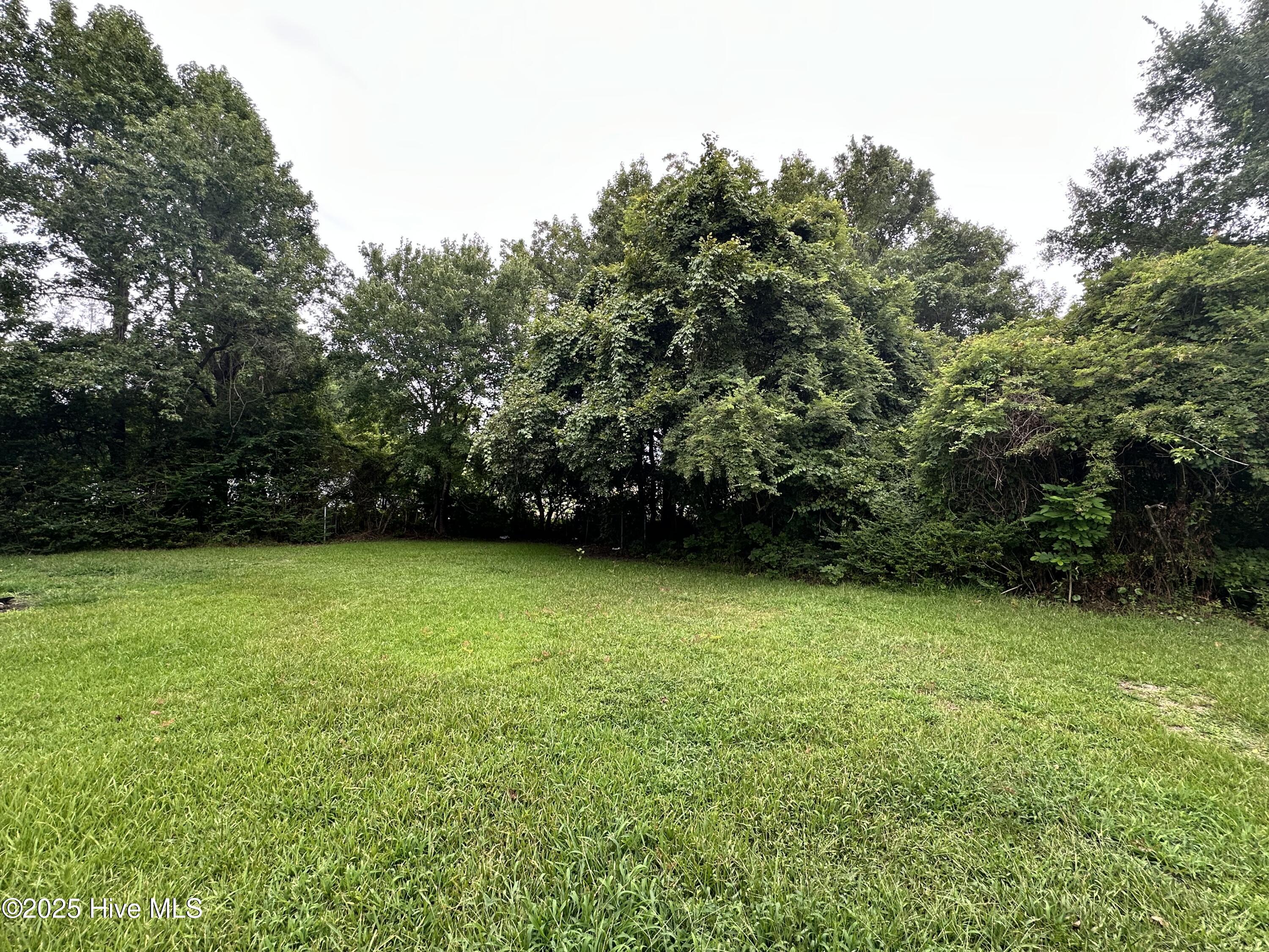 2008 Champion Drive Property Photo 3