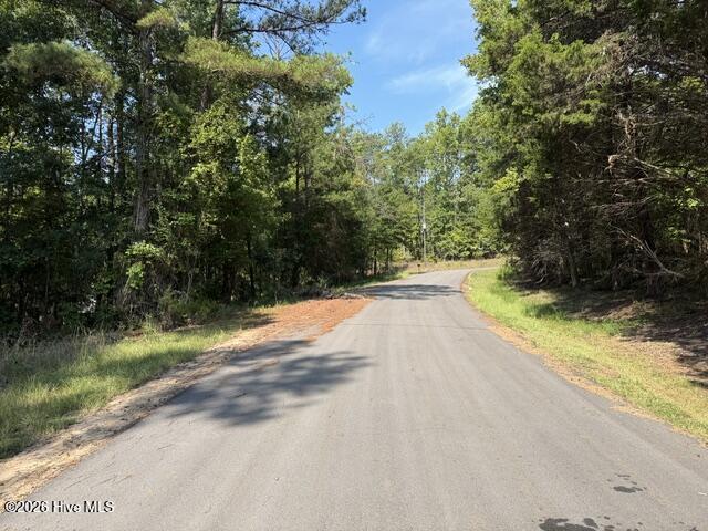462 Amaryllis Drive Property Photo 2