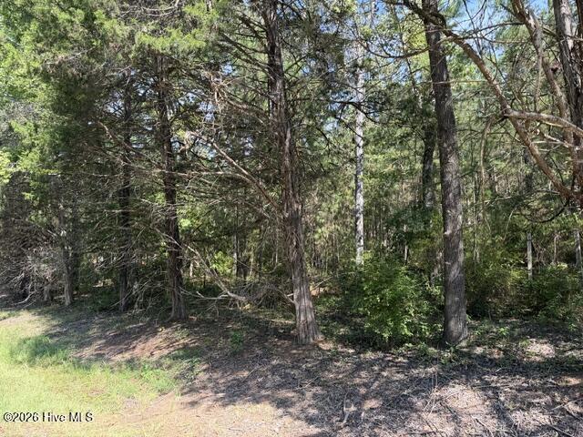 462 Amaryllis Drive Property Photo 3