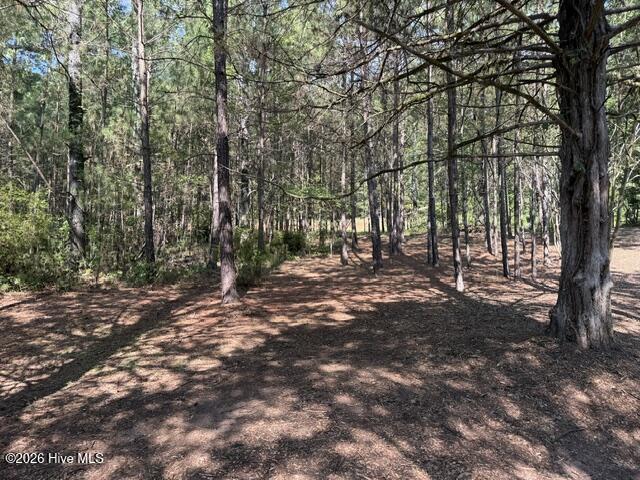 462 Amaryllis Drive Property Photo 6