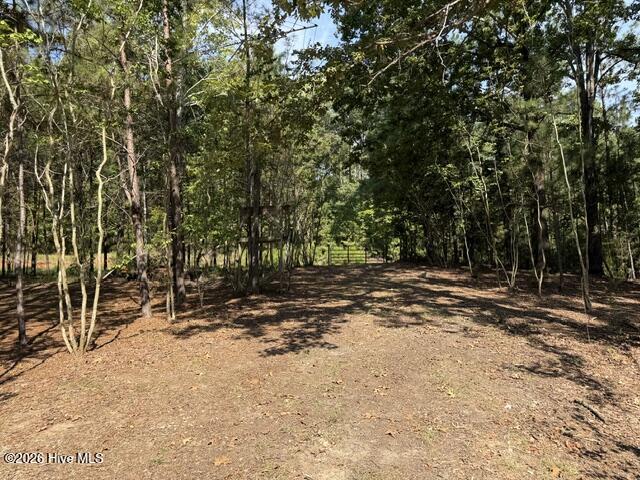 462 Amaryllis Drive Property Photo 7