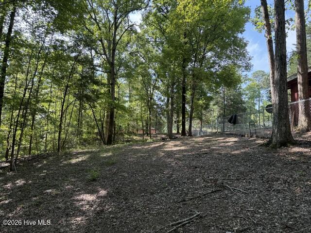 462 Amaryllis Drive Property Photo 14