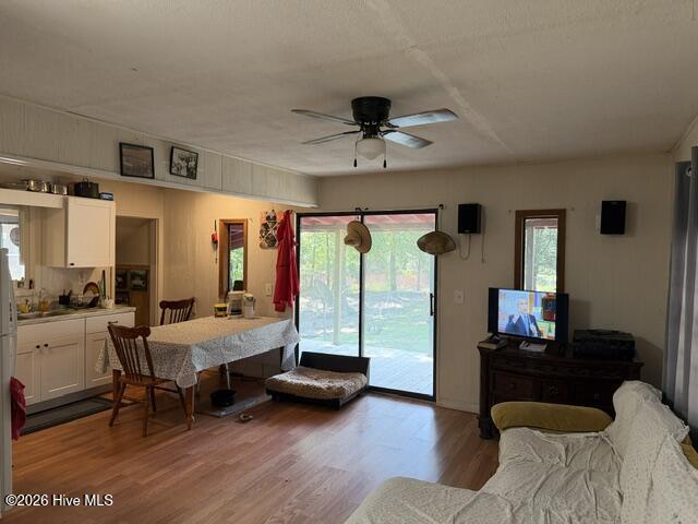 462 Amaryllis Drive Property Photo 22