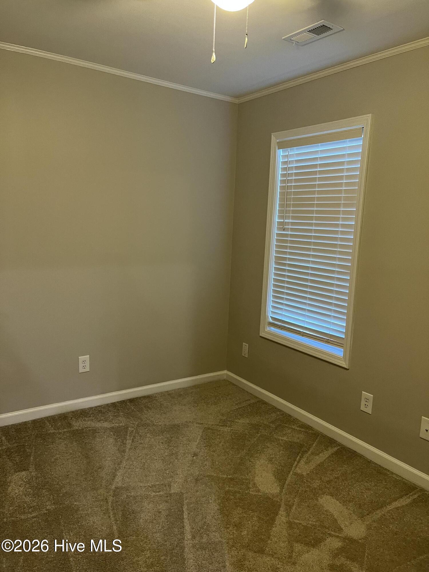 409 Goose Pond Court Property Photo 9