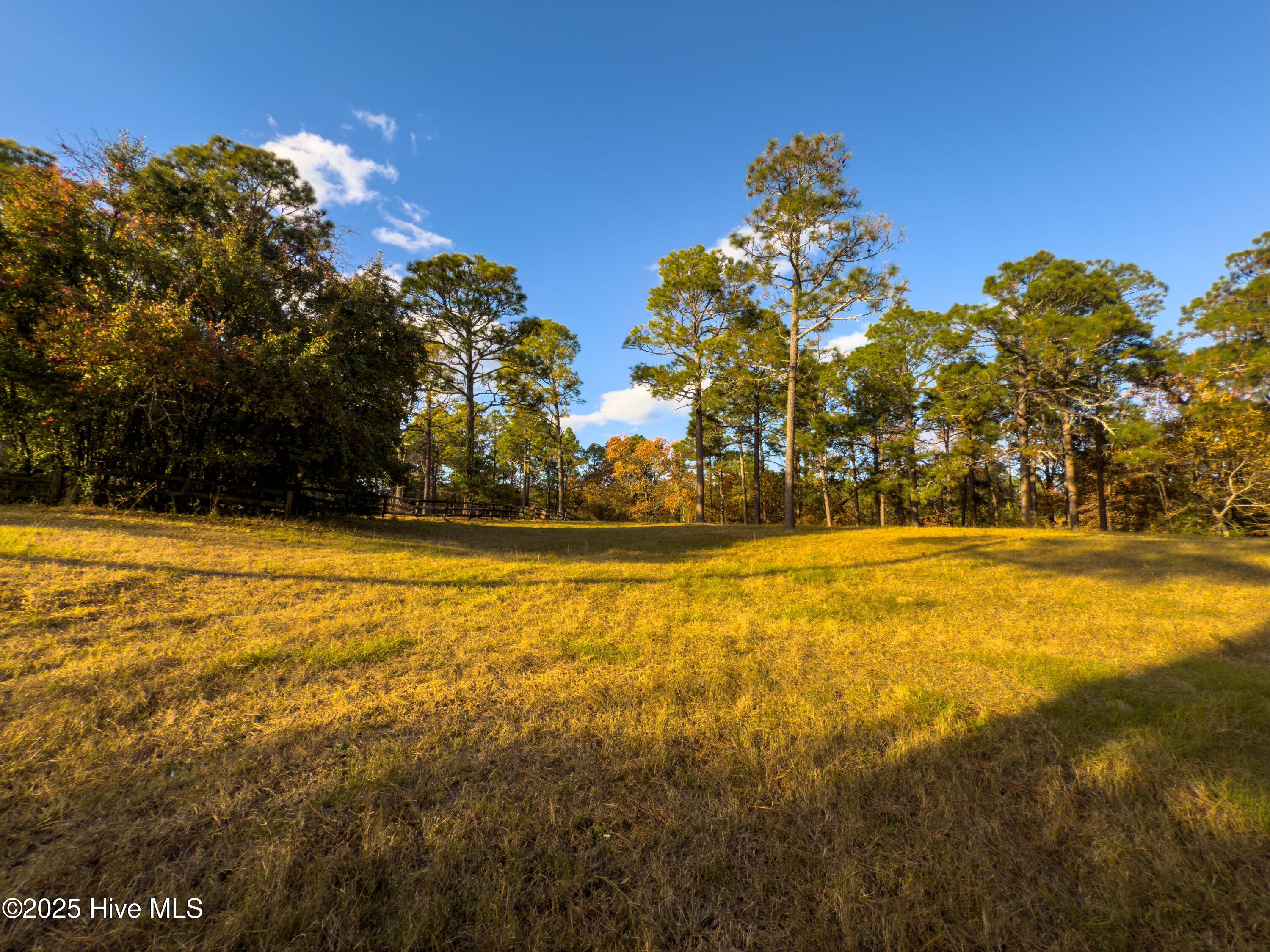 292 Bump A Long Lane Property Photo 15