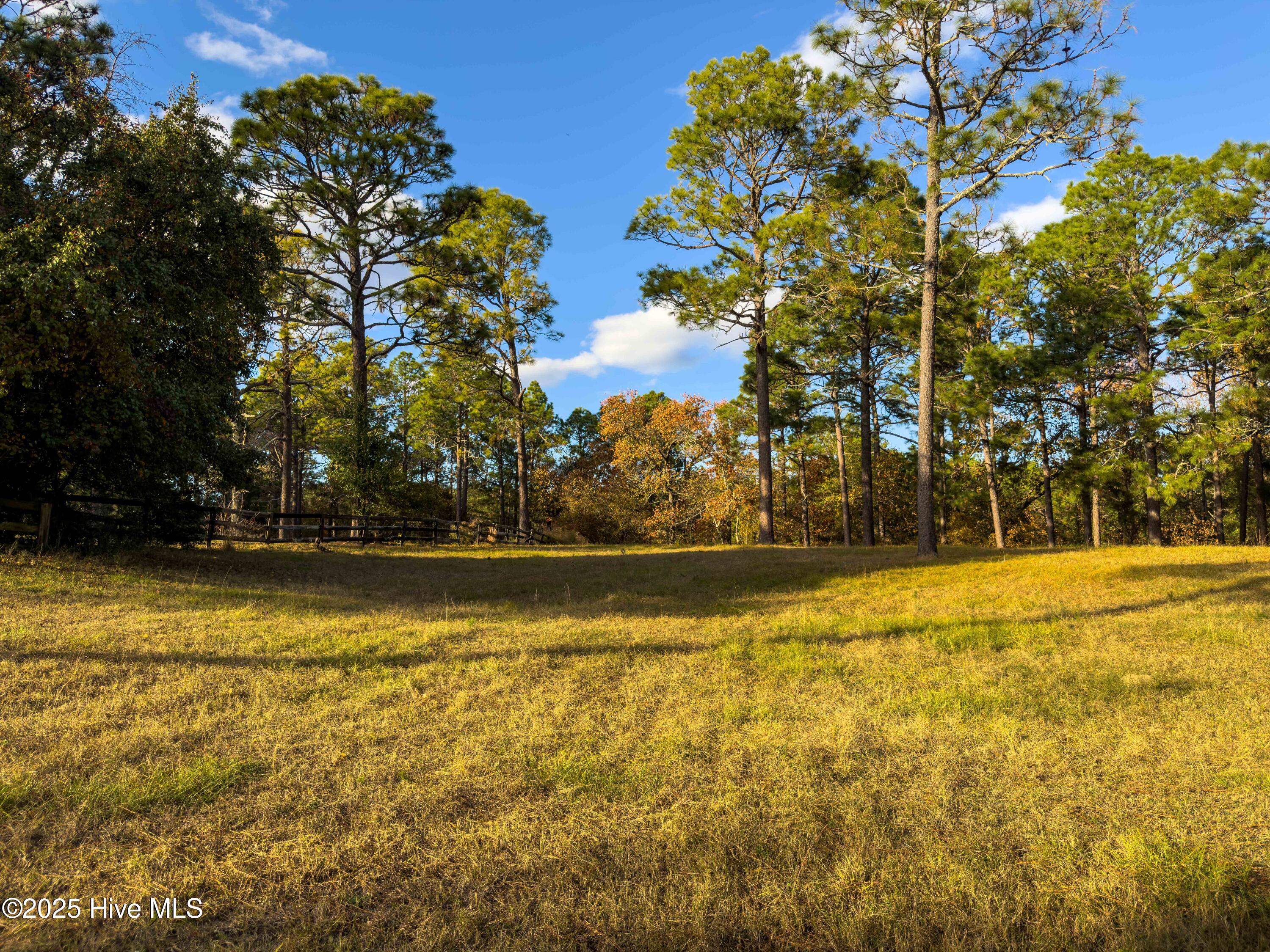 292 Bump A Long Lane Property Photo 16