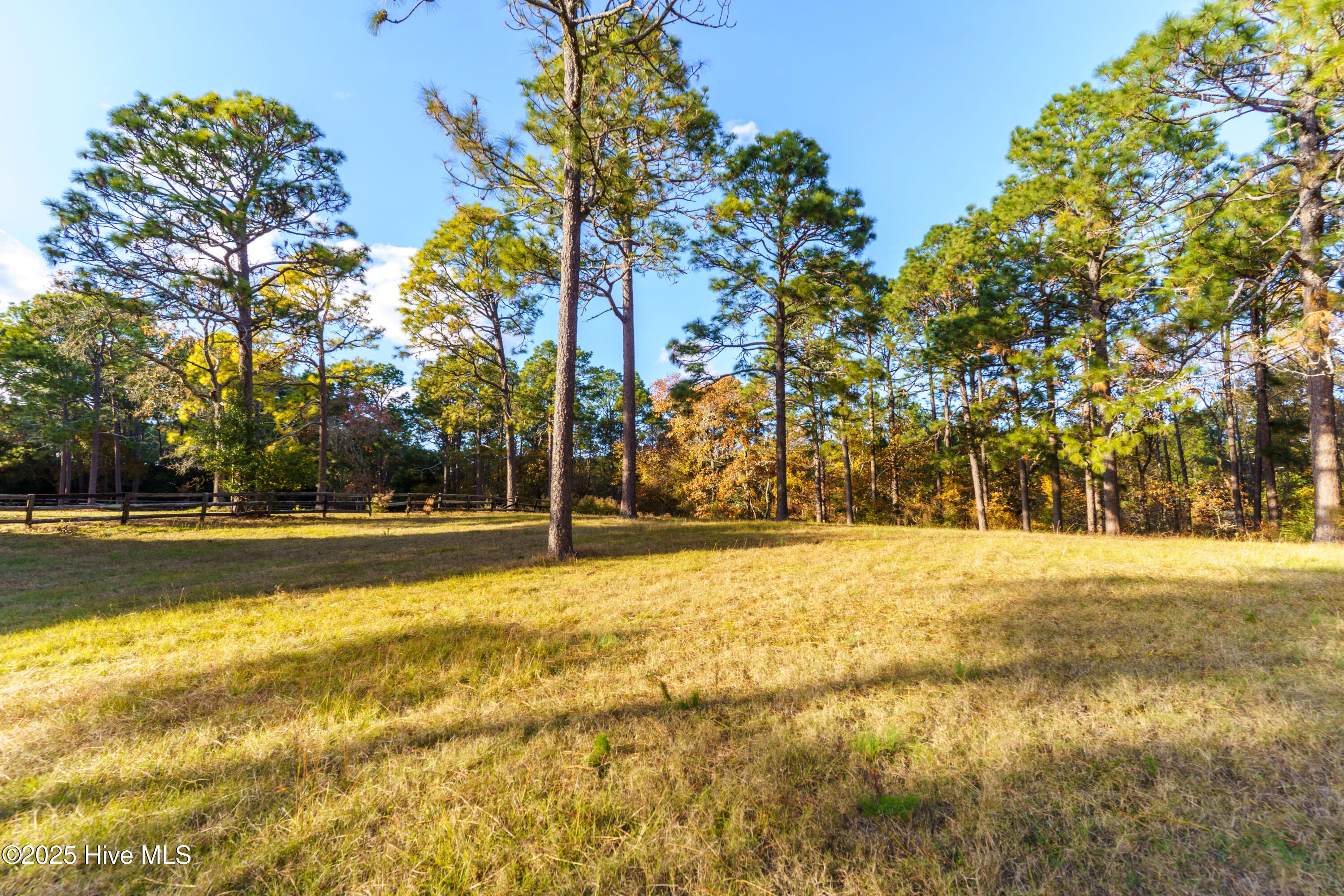 292 Bump A Long Lane Property Photo 20