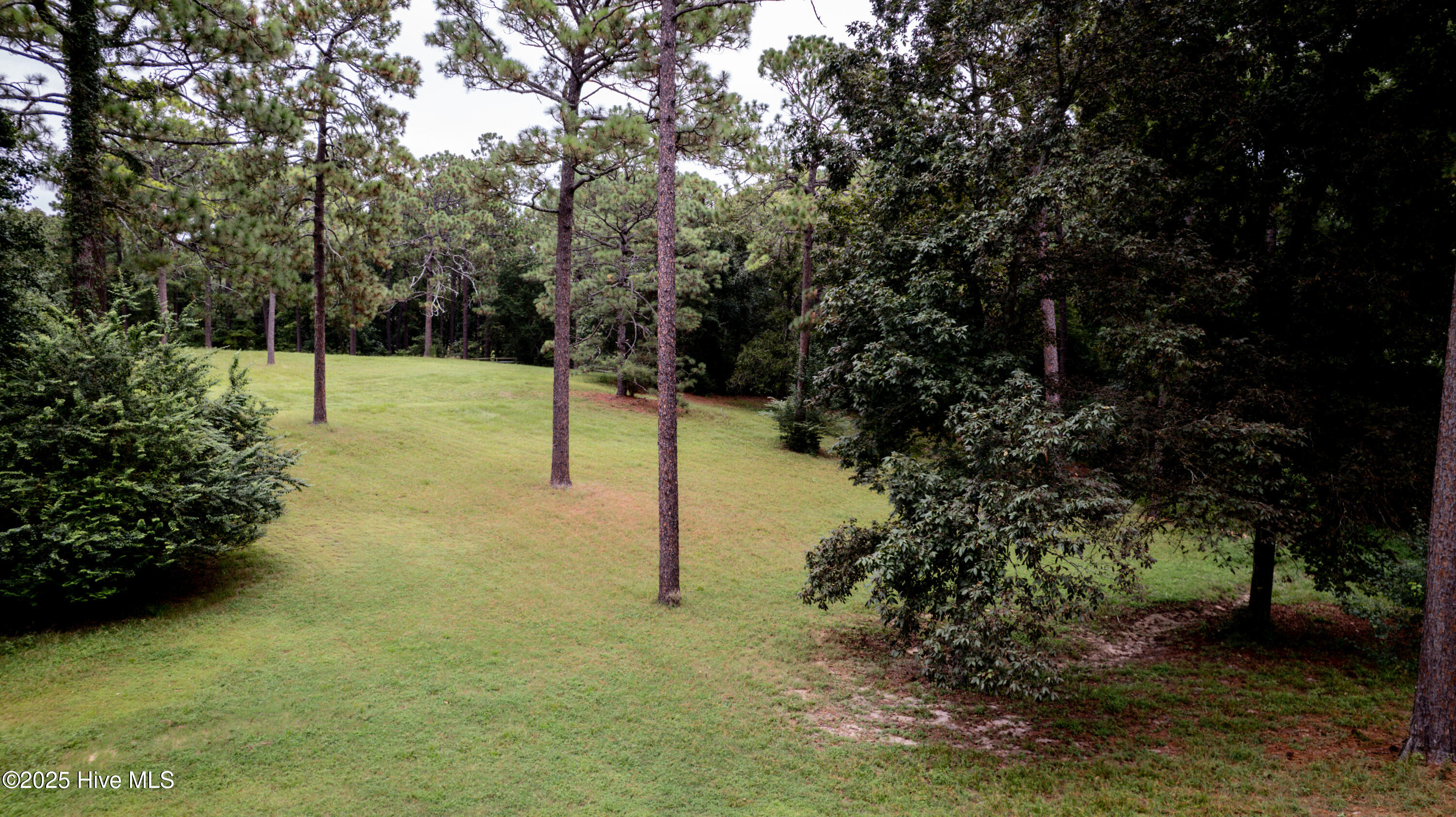 292 Bump A Long Lane Property Photo 70