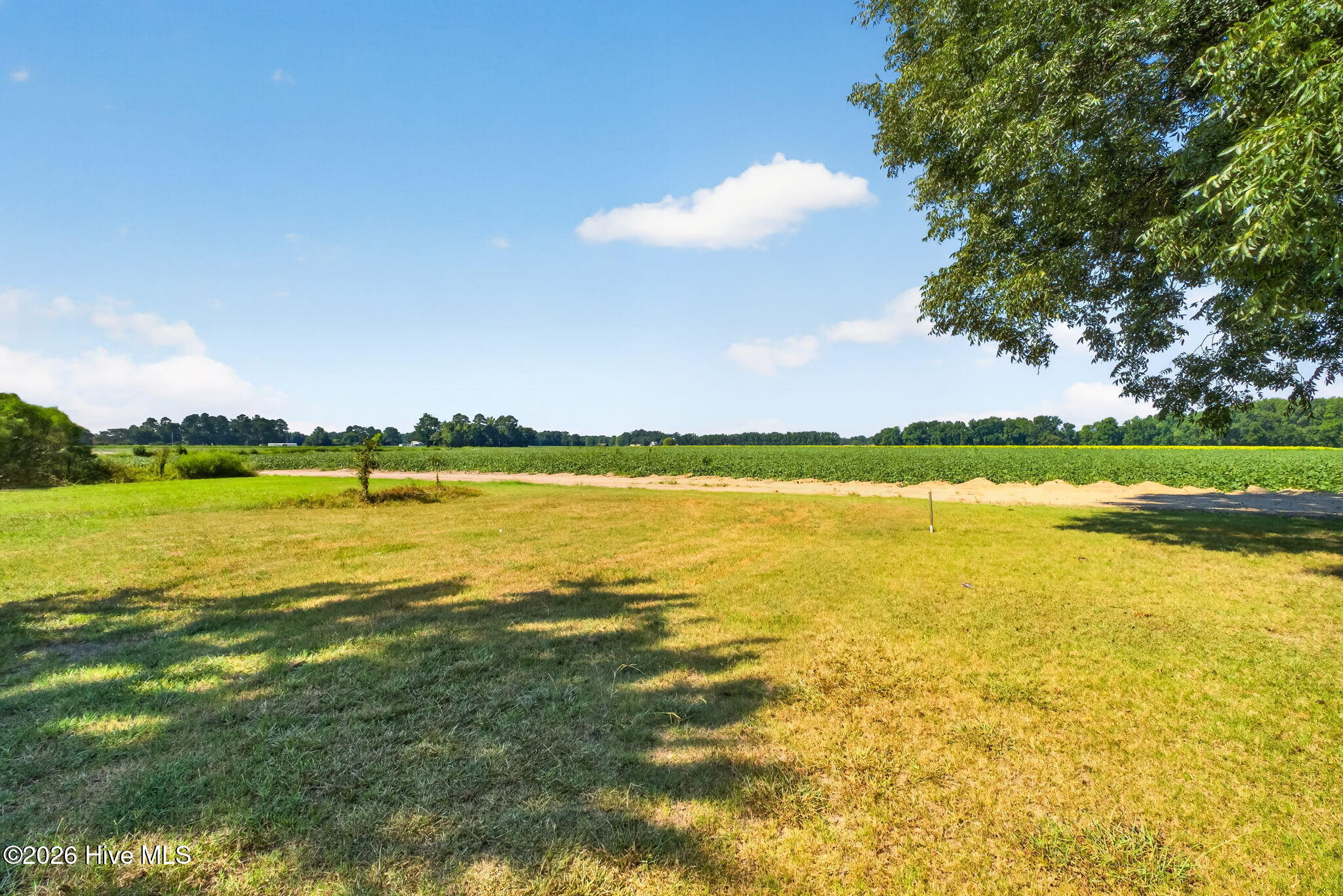 7112 Wheat Swamp Road Property Photo 37