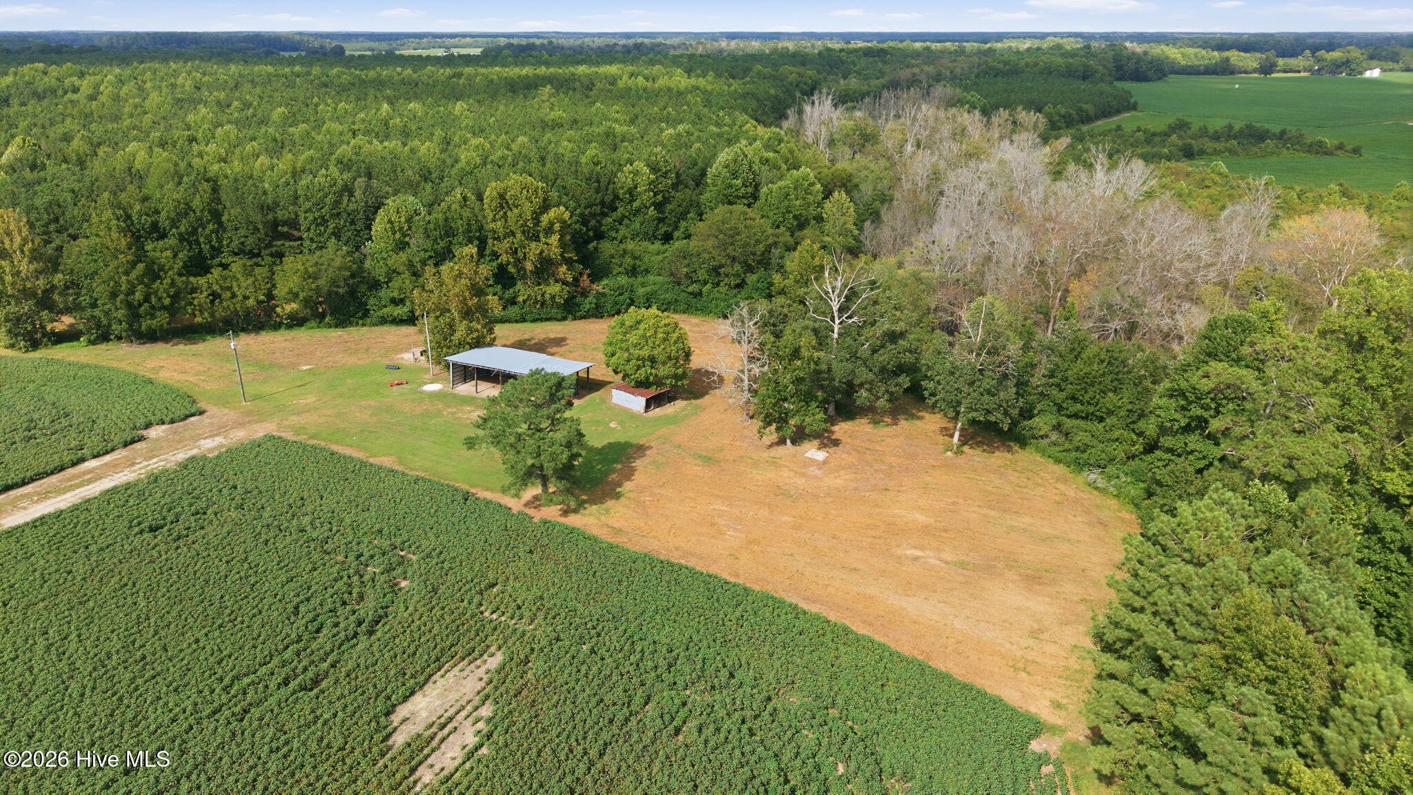 1811 Cannon Road Property Photo 12