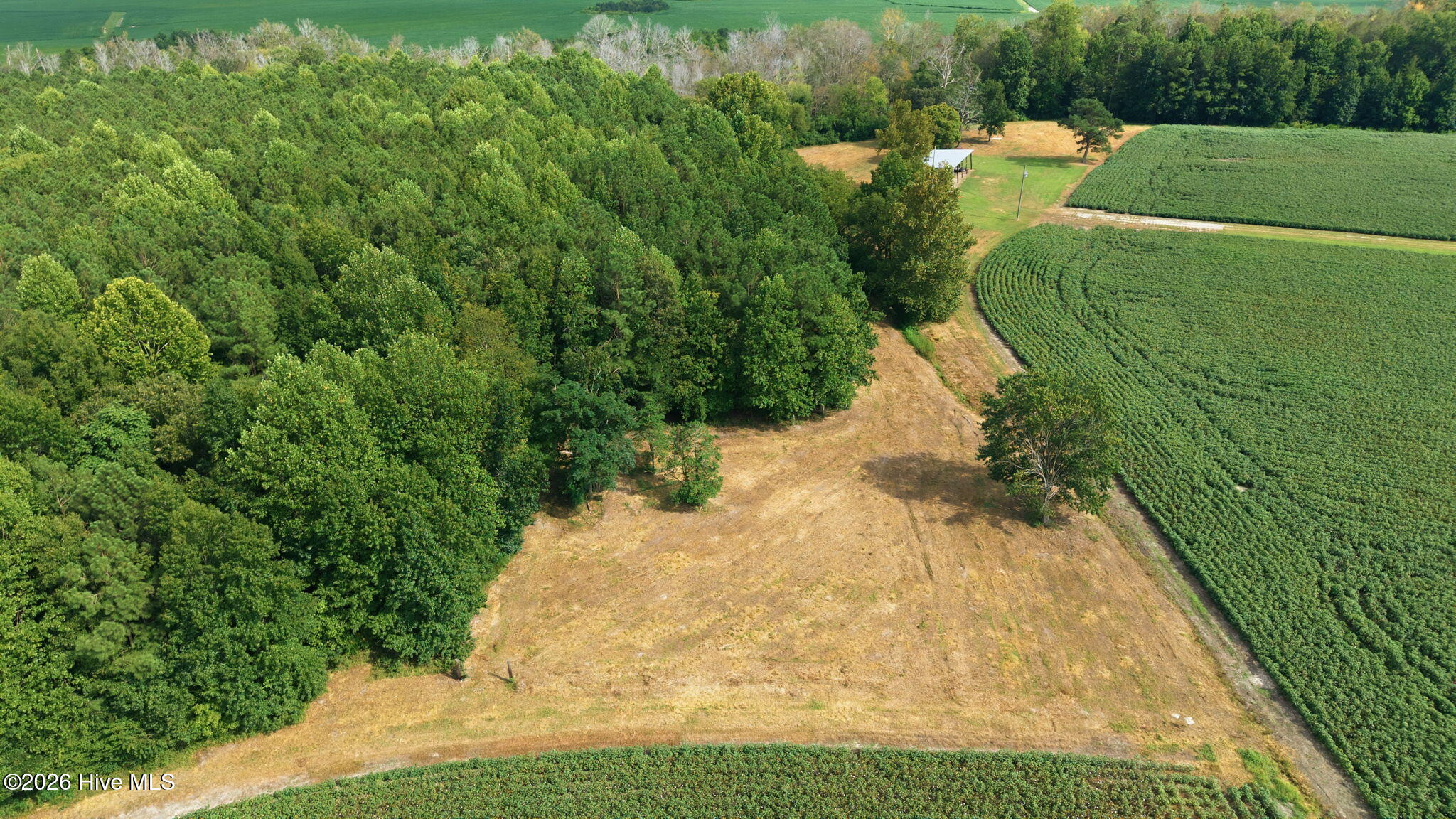 1811 Cannon Road Property Photo 17