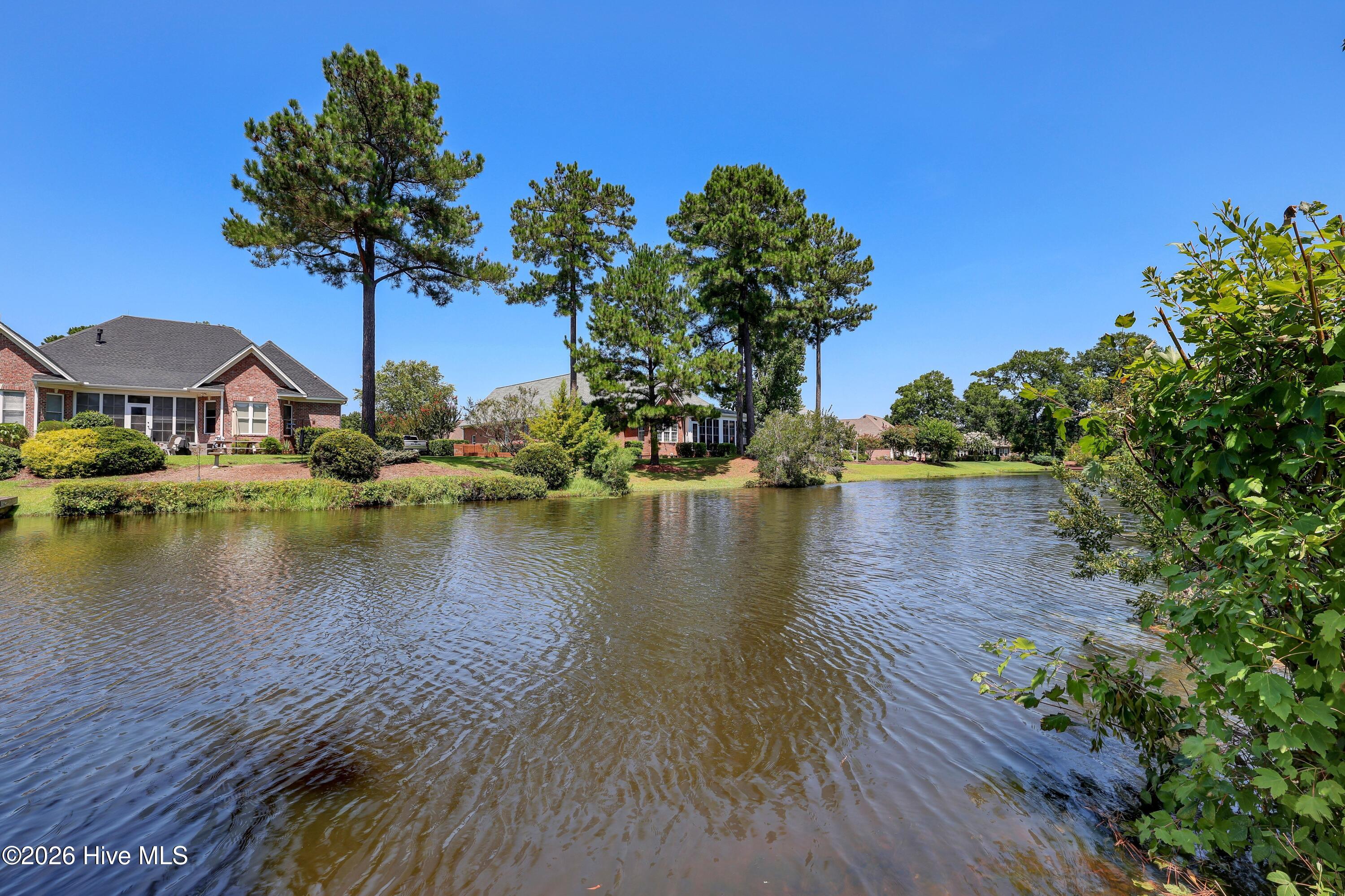 1334 Hydrangea Court Property Photo 45