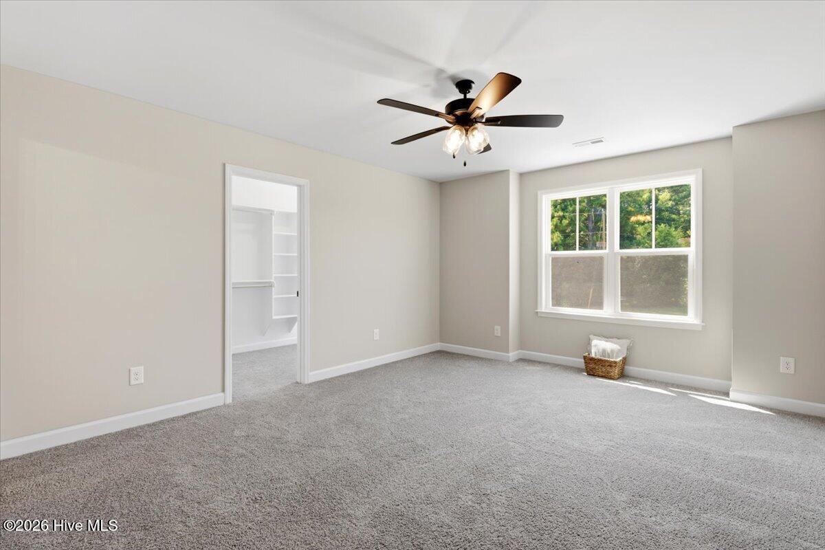 125 Wilson Street Property Photo 23