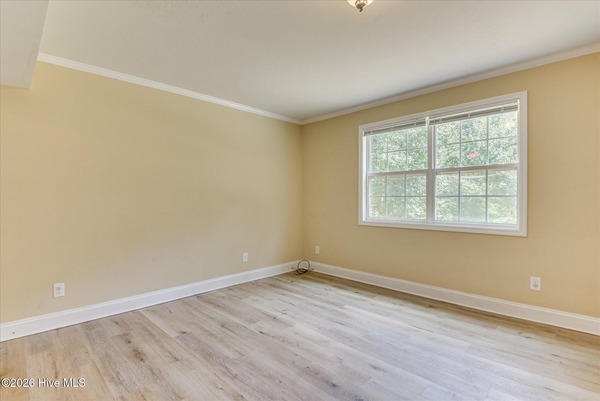 3513 Byron Place Property Photo 7